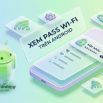 Cách xem mật khẩu Wi-Fi đã kết nối trên điện thoại để chia sẻ